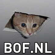 ceiling cat FB avatar