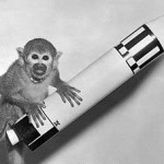 monkey-rocket